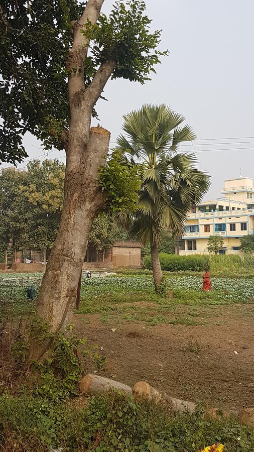 Ansari House Apartment Bodh Gaya Luaran gambar